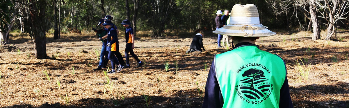 park volunteers