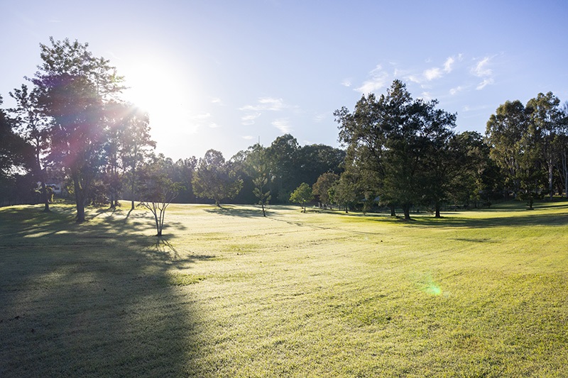 Alexander Clark Park