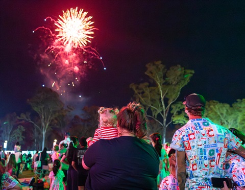 Family watching fireworks