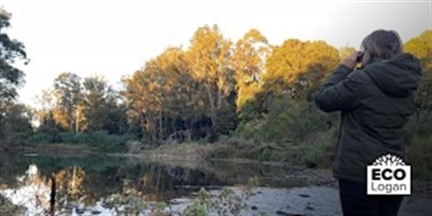 person watching platypus in a lake
