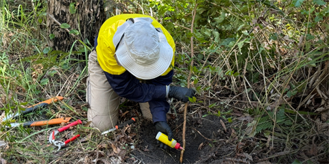 A person kneeling down picking out weeds