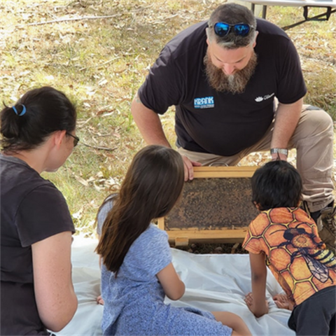Bee Workshop