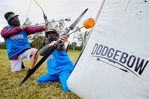 Dodgebow
