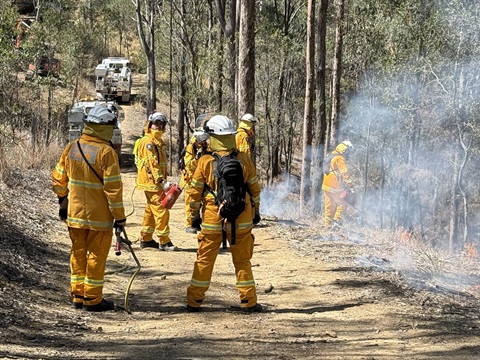 Fire burn at Jimboomba 1.jpeg