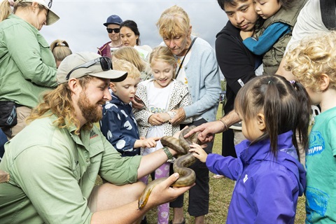 Logan Eco Action Festival - Reptile encounter.JPG