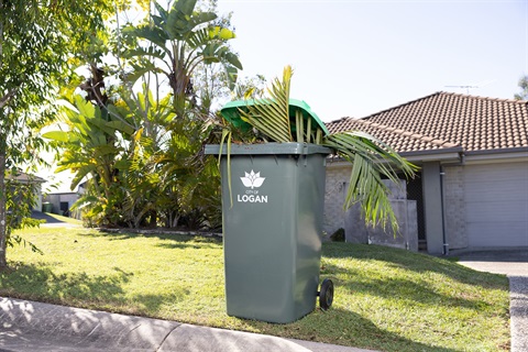 Green waste bin on kerbside