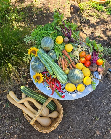 garden-produce.jpg