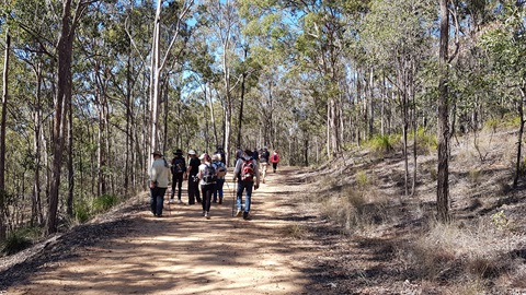 A group of people bushwalking along a trail