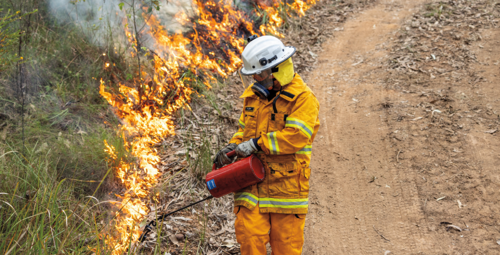 A firefighter lighting a fire along a roadside
