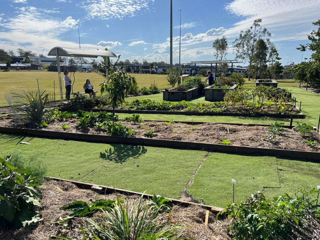 Garden beds at Yarrabilba Community Garden