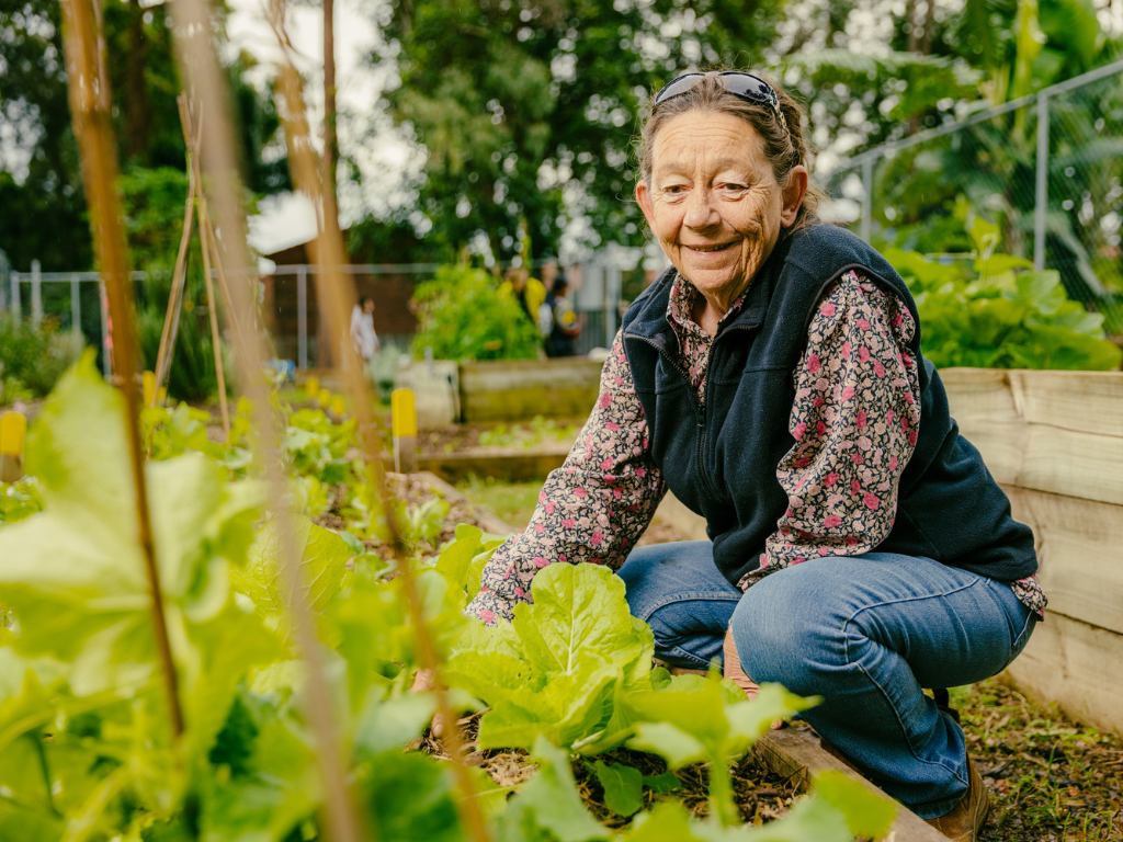 Volunteer tending to growing plants at The Little Vege Patch at Springwood