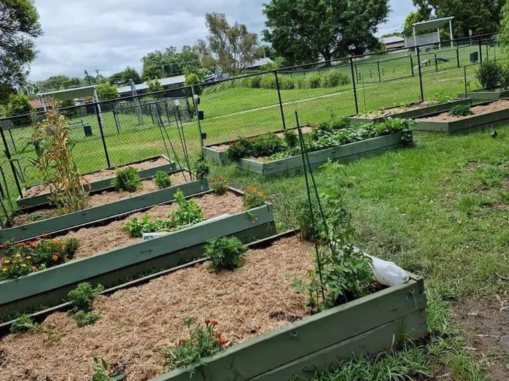 Plants and flowers growing at Crestmead Community Garden