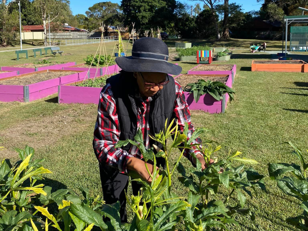 Volunteer tending to the plants at Jimbelungare Community Garden