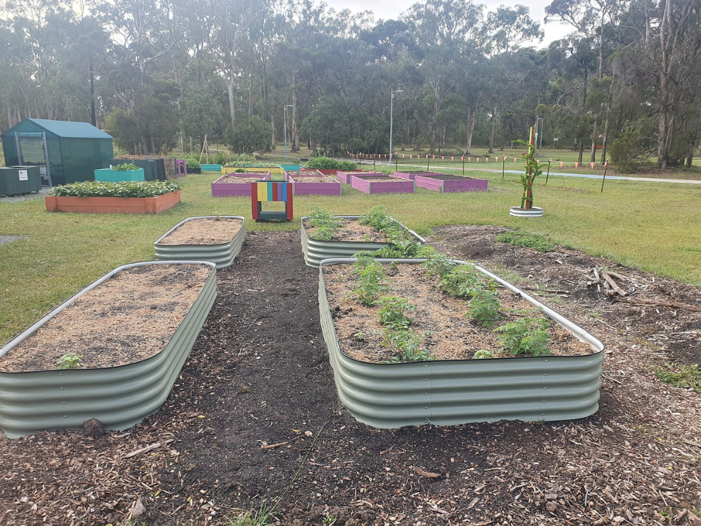 Garden beds at Jimbelungare Community Garden