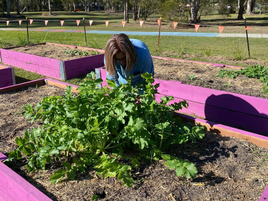 Volunteer tending to growing plants at Jimbelungare Community Garden