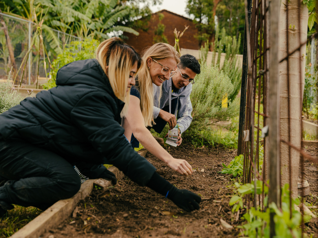 Volunteers planting seeds in a garden bed at the Little Vege Patch at Springwood