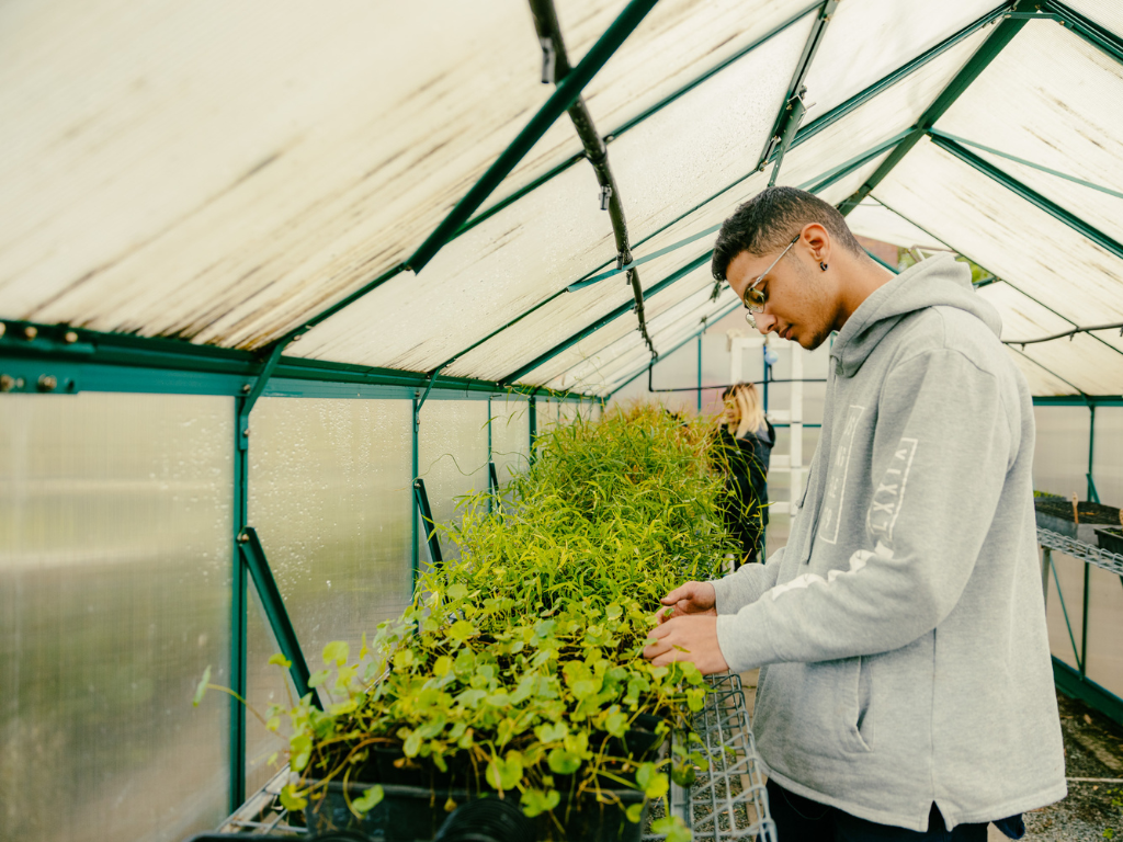 Volunteers tending to plants inside the greenhouse at the Little Vege Patch at Springwood