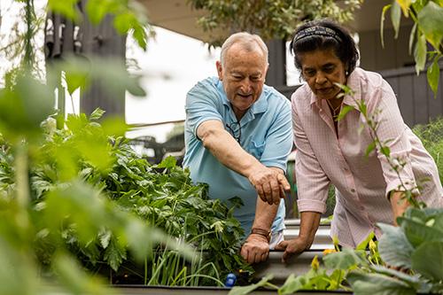 Elderly man and woman lean against edge of garden and point at plants