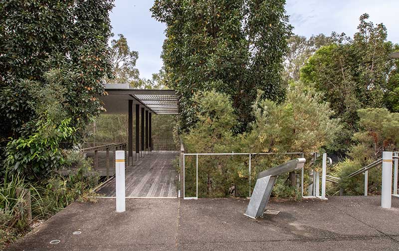 Trees surround entrance to undercover shelter