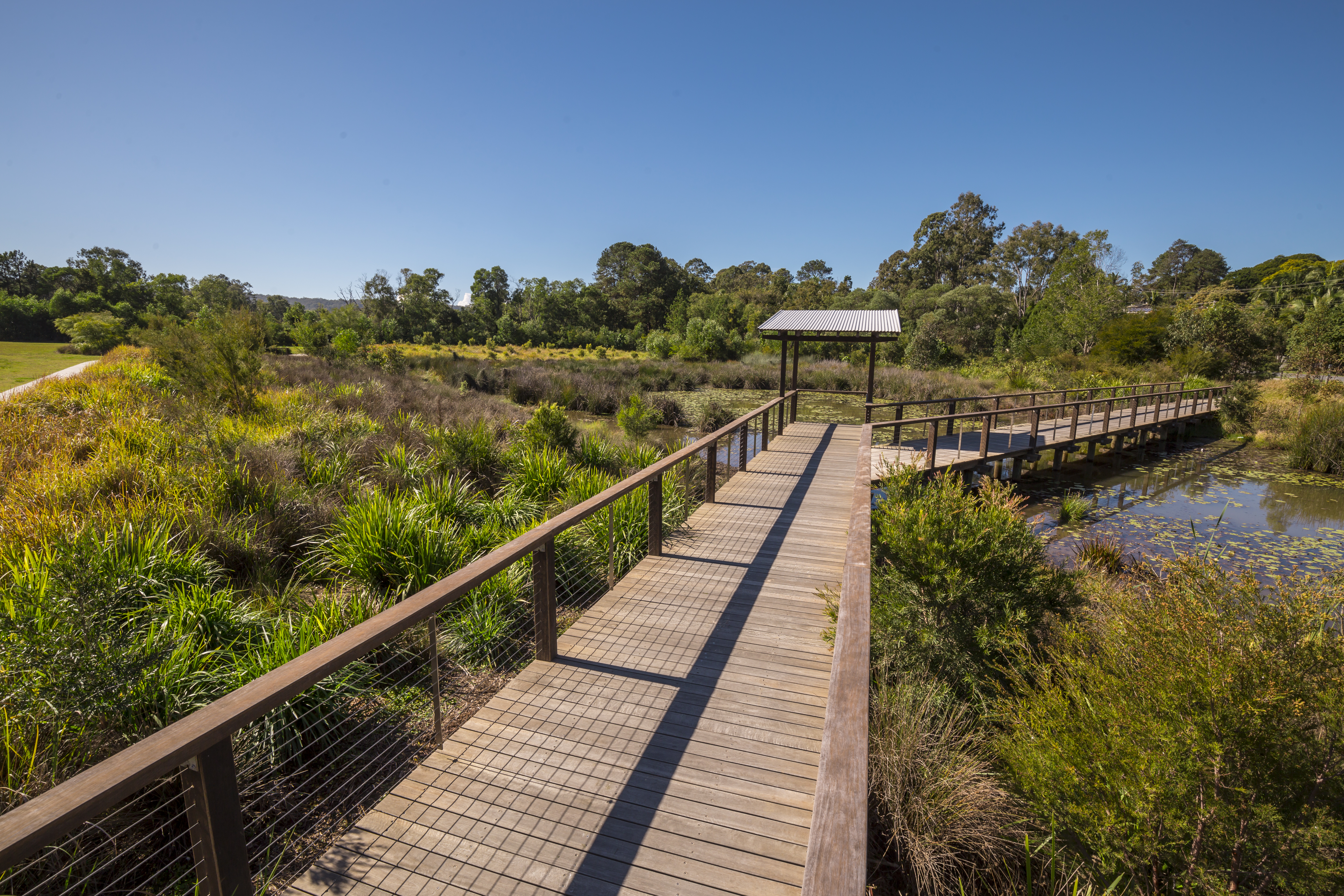 Shailer Pioneer Park Wetland upon completion with boardwalk and viewing deck