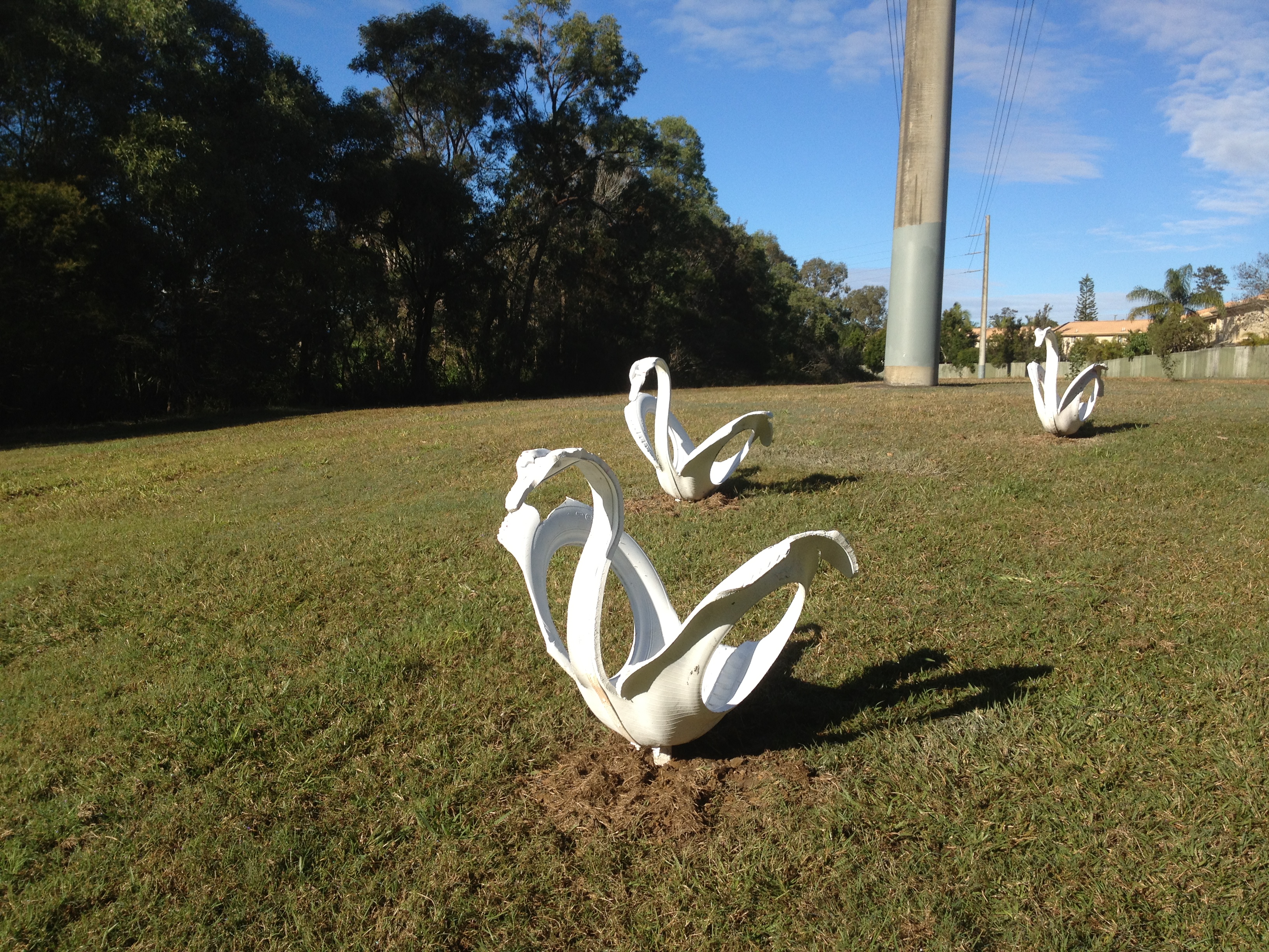 Slacks Creek tyre swan art installation, three swans created from old tyres found in the creek