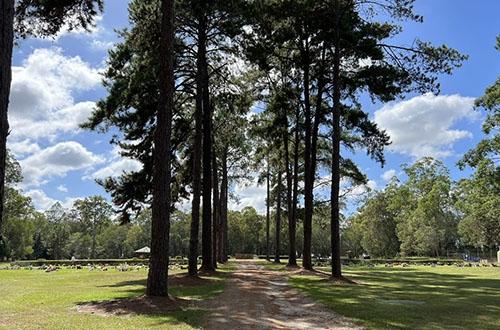 Entrance way to Logan Village Cemetery