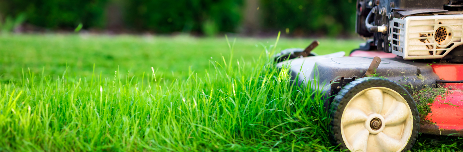 A lawn mower cutting overgrown grass