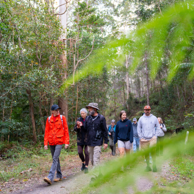 A group of people enjoying a walk through the bushland