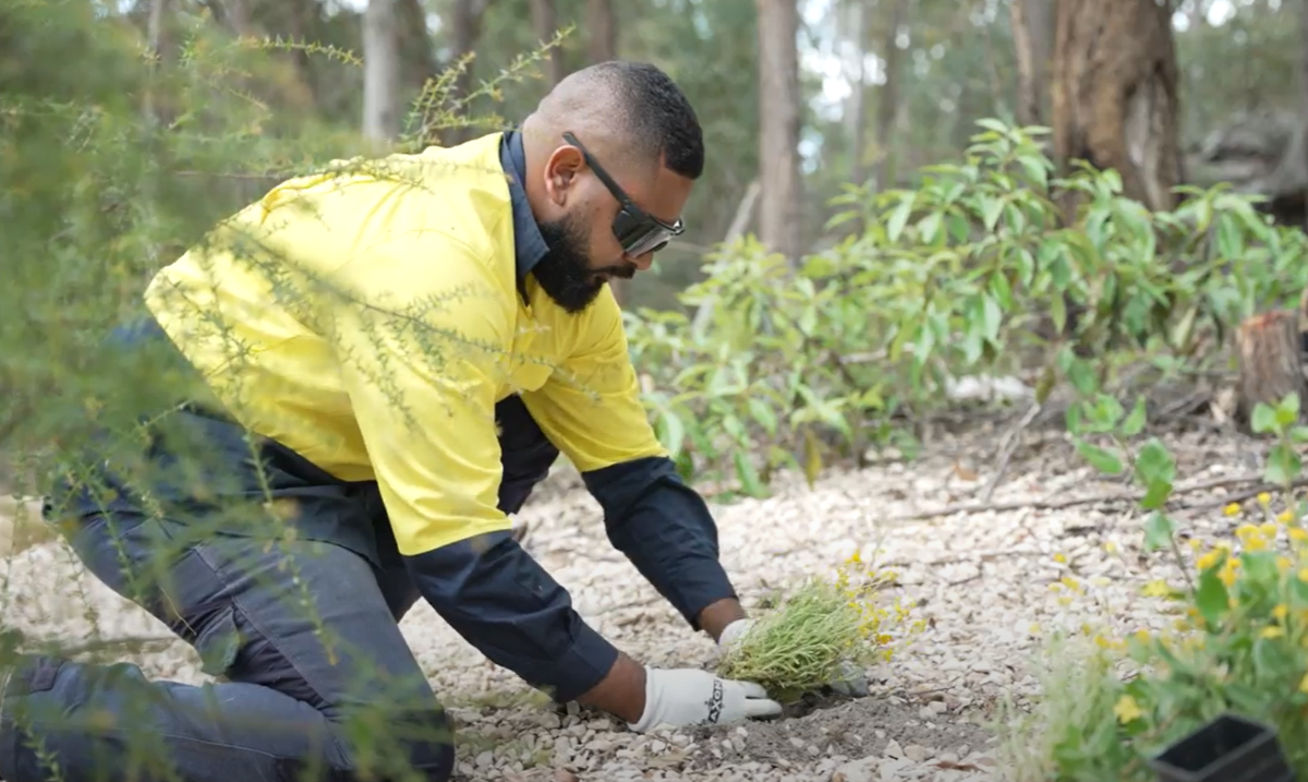 Traditional Owner Leighlan Masso is wearing highvis. He is kneeling close to the ground planting native shrubs around the Rock Shelters in 2021.