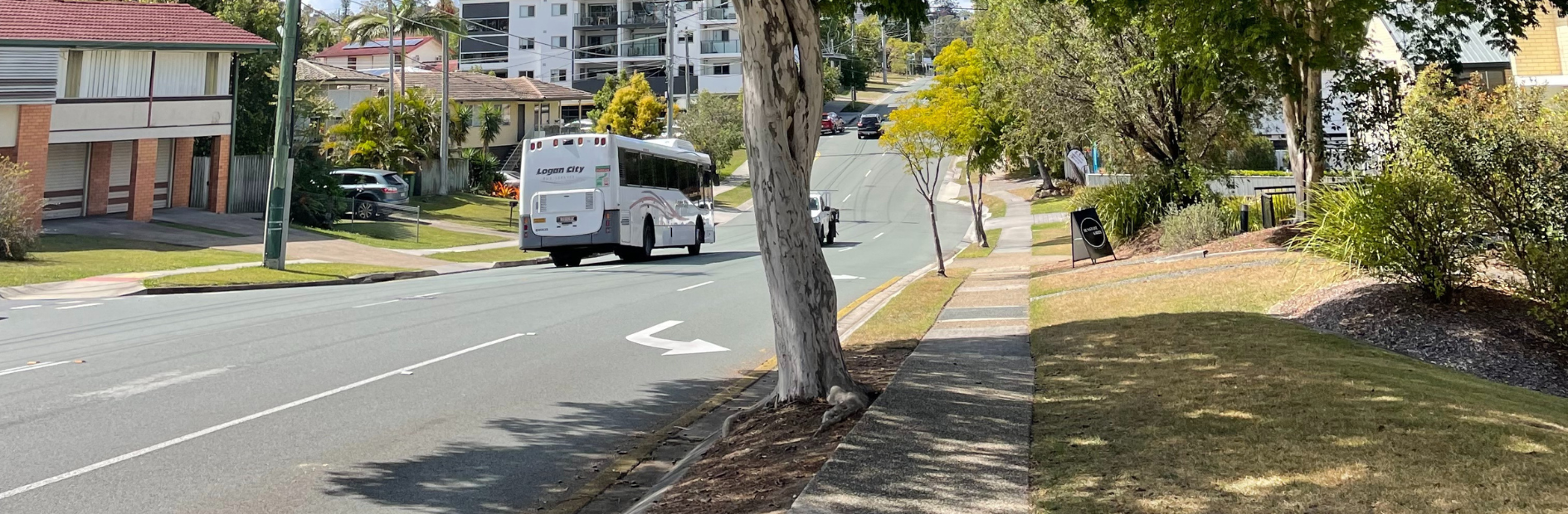 Landscape of the road on Cinderella Drive