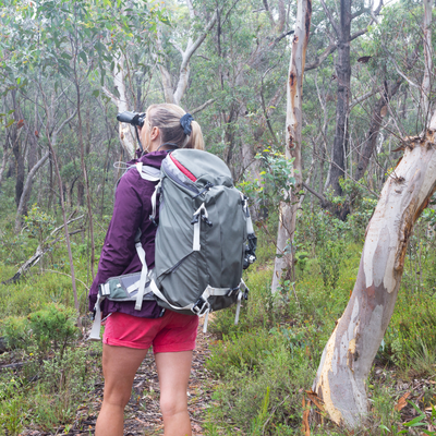 A girl wearing a backpack walking through a bushland trail