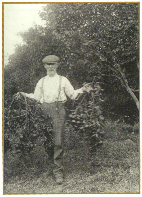 Francis Shailer holding fruit on his farm