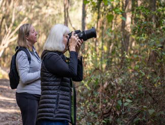 A woman on a bush track taking photos with a camera