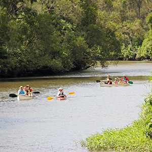 Paddles on the Logan and Albert rivers were repeatedly booked out over the last year.