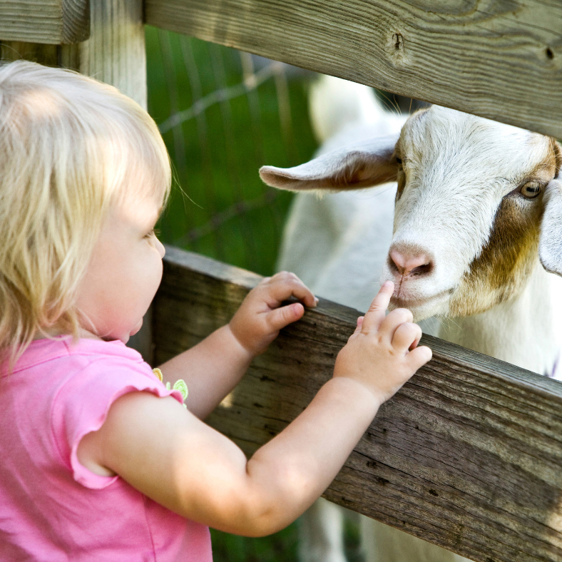A petting zoo will delight children at this month's Eats & Beats event in Berrinba.