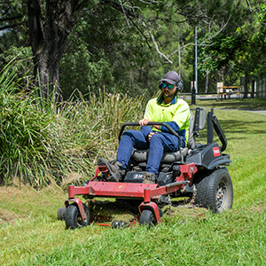 Overgrown grass in Crestmead Park was among the targets for Council mowing crews this week.