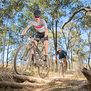 A picture of mountain bikers racing along the track at Logan's Daisy Hill.