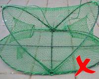 Opera house fishing net an oval shaped base with a netted dome and small netted tunnel openings on two sides which do not provide easy access for non-fishable water creatures to escape.