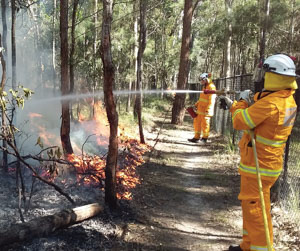 Controlled burn in Logan