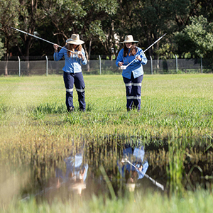 Logan City Council is carrying out a comprehensive citywide surveillance and treatment plan to minimise the discomfort and public health risks of mosquitoes.