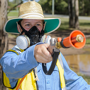 Logan City Council is targeting mosquitos.