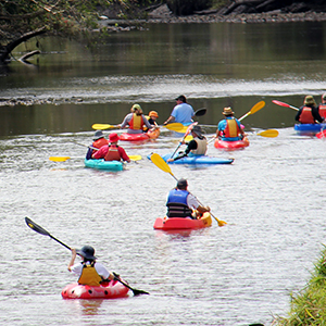 An image of people paddling on a river to demonstrate that kayaking, canoeing and camping are activities perfectly suited to nature-based tourism in the City of Logan.