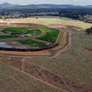 An aerial image of hundreds of offset plantings at Logan City Council's Cedar Grove Environmental Centre.