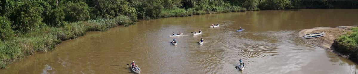 Group of kayakers paddling in the river