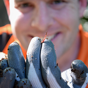 Environment chair, Cr Jon Raven, checks out a worm farm ahead of National Recycling Week workshops.