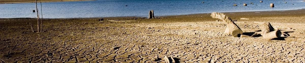 Dam with low water. Dry, cracked banks and dying tree stump.