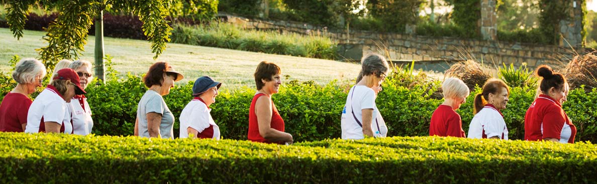 Group of people walking together down a hedge lined path