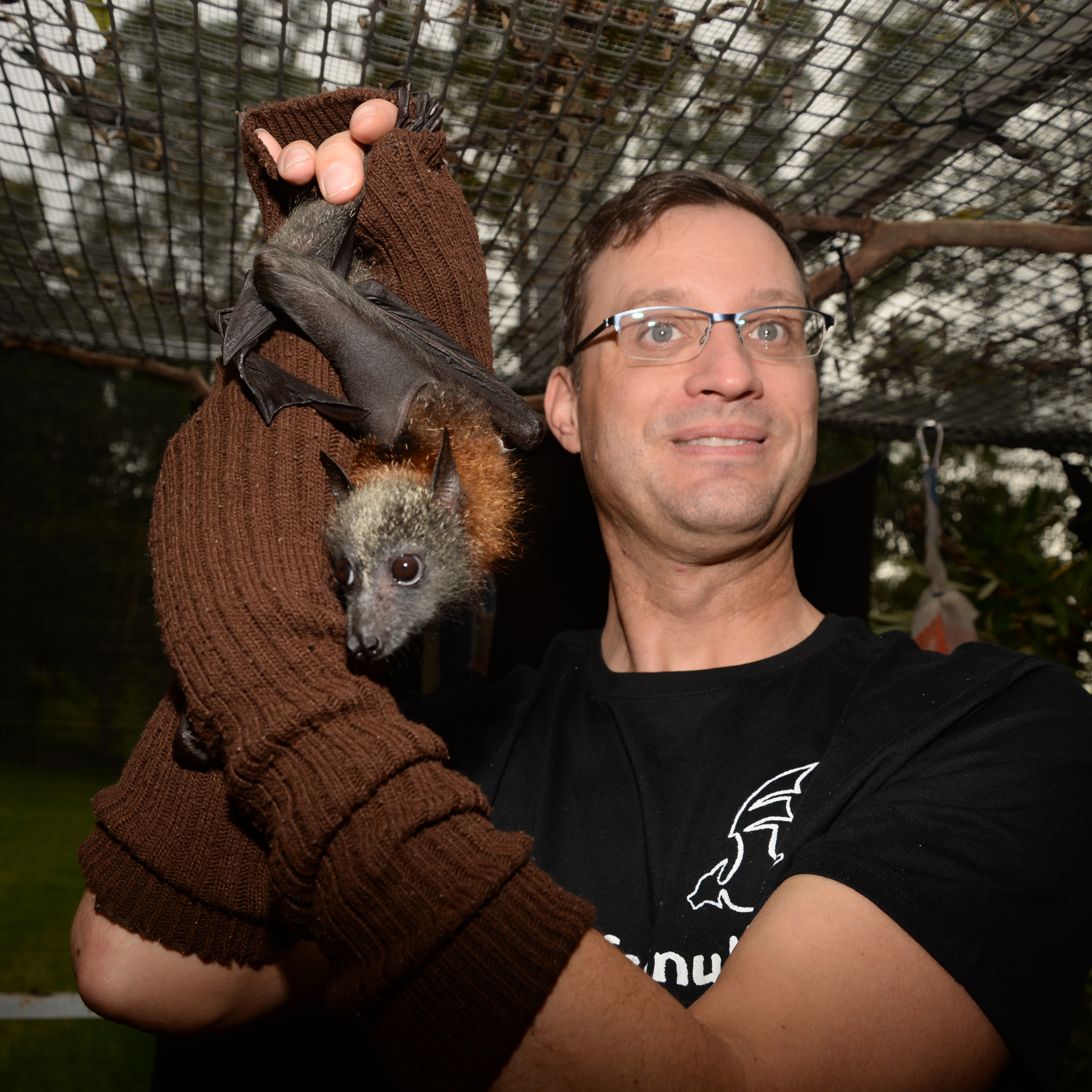 Man holding flying fox at Cornubia.