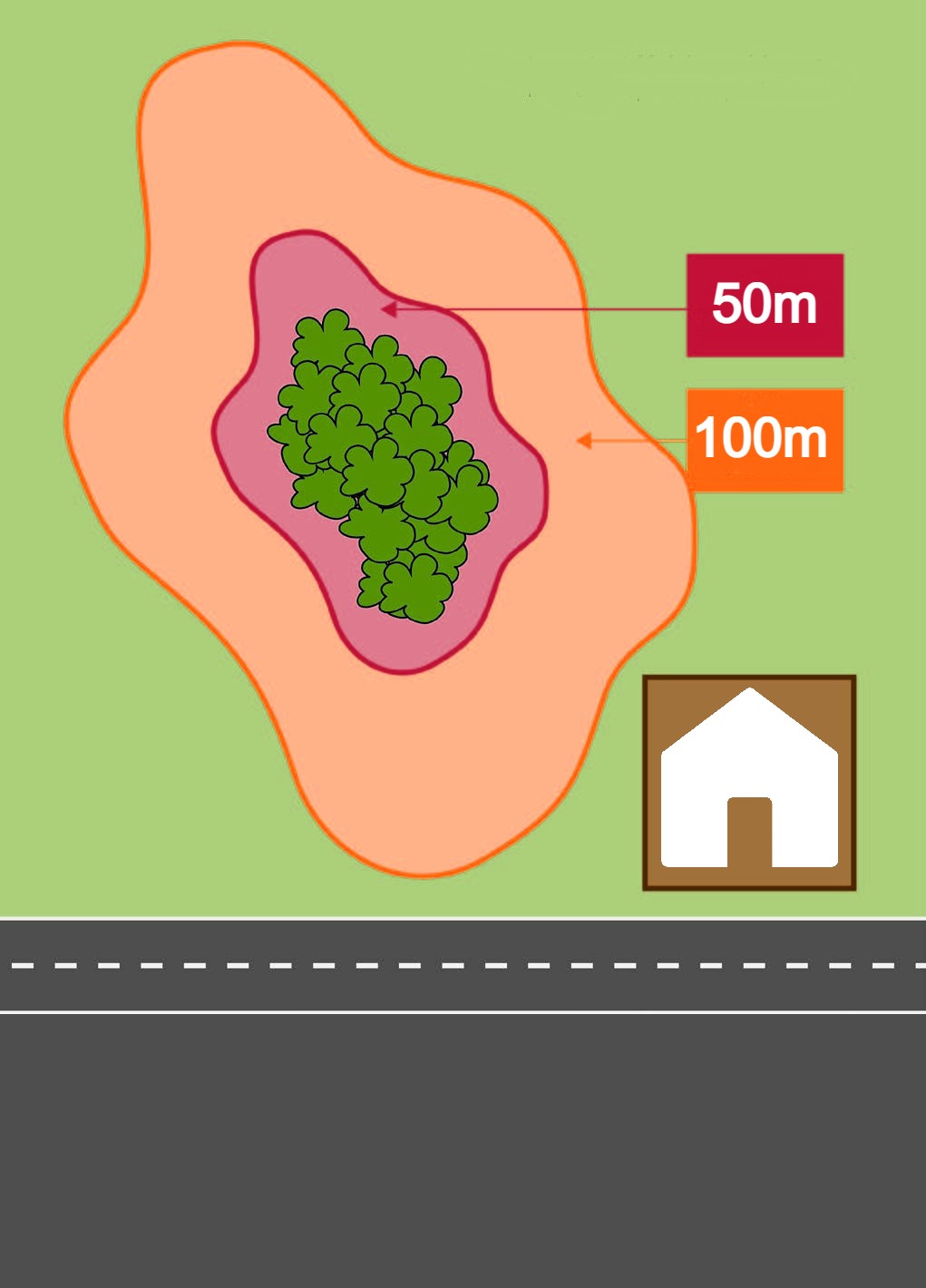 Diagram of Melaleuca irbyana (Swamp tea tree) surrounded by a 50 metre buffer zone to protect from edge effects and a 100 metre buffer zone to protect hydrology.