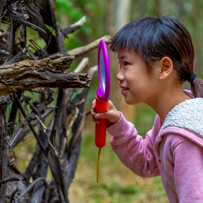 Child holding a magnifying glass looks through structure made out of branches